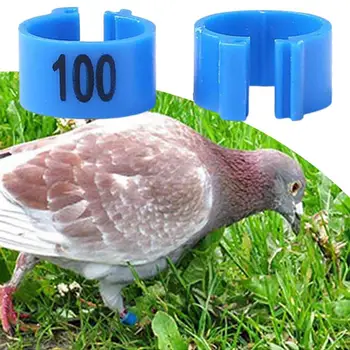 0-100 Paukščių Kojų Žiedų Juostos Įrašą Nuimamas Pakartotinai Naudoti Plastiko Paukščių Identifikavimo Juosta Vištienos Antis Koja Žiedo Numeris Ženklas
