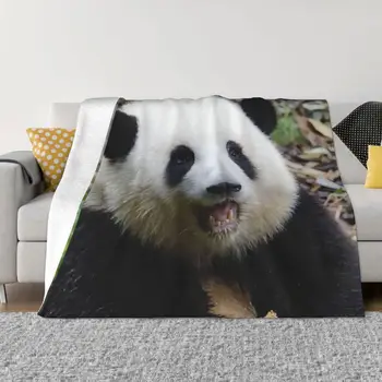 Huahua Panda Gyvūnų Antklodė Minkštas Pliušinis Visiems sezonams Komfortą Mesti Pledai Tvirtos Ilgalaikės Kelionės