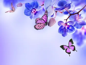 JMINE Div 5D Juoda Orchidėja Gėlė drugelis Visą Deimantų Tapybos kryželiu rinkiniai meno Gėlių 3D dažų deimantai