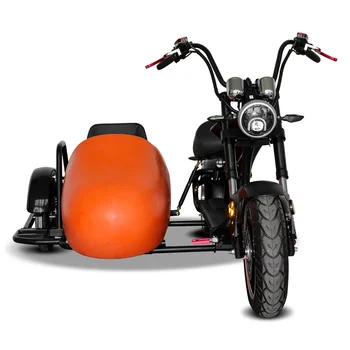 Mados Priekabos elektros motociklų galingas 3000w elektriniai motoroleriai citycoco už suaugusiųjų keleivių sėdynės pet dogcustom